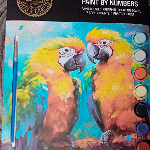 Morris paint numbers kit - tj,