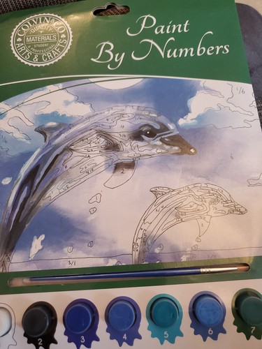 Paint numbers kit dolphins - kit,