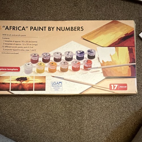 Africa paint numbers kit - paint,