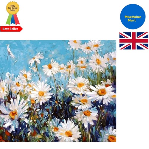 Complete 16x20 paint number - 16x20,